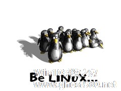 Linux开机后终端提示-bash-2.05b$怎么办？