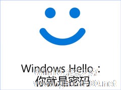 Win10系统下Windows hello无法识别一直提示正在寻找怎么办？
