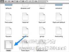 Mac电脑的hosts文件在哪？
