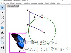 几何画板怎么制作蝴蝶动画？几何画板制作蝴蝶动画的方法