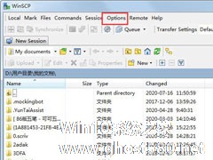 WinSCP怎么更改语言？教你一键设置WinSCP为中文的方法
