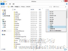 Win8.1文件夹如何筛选某一类型文件