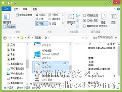 Win8.1如何使用文件资源管理器的预览窗格